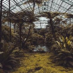 Les serres urbaines bioclimatiques : vivre dans un jardin au coeur de la ville