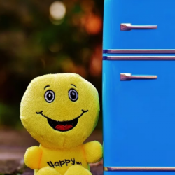 La Minute Diététique : "l'anti-stress n'est pas dans le frigo"